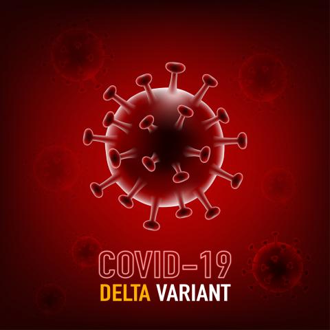 Delta variant: 8 things you should know about this COVID-19 strain