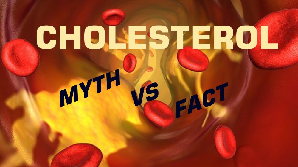 Cholesterol Myths and Facts