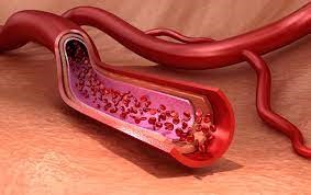 Endothelial Glycocalyx as a Regulator of Fibrotic Processes
