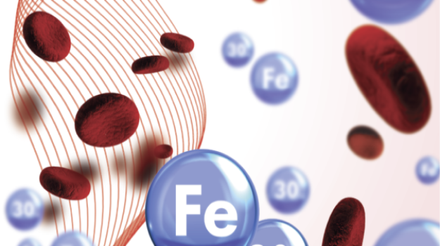 Iron Protein Succinylate in the Management of Iron Deficiency Anemia: A Comparative Study with Ferrous Sulphate at Low and High Therapeutic Doses