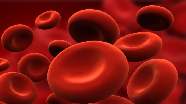 Efficacy and Tolerability of Oral Iron Protein Succinylate in the Treatment of Iron Deficiency Anemia in Adults with Diverse Pathologies